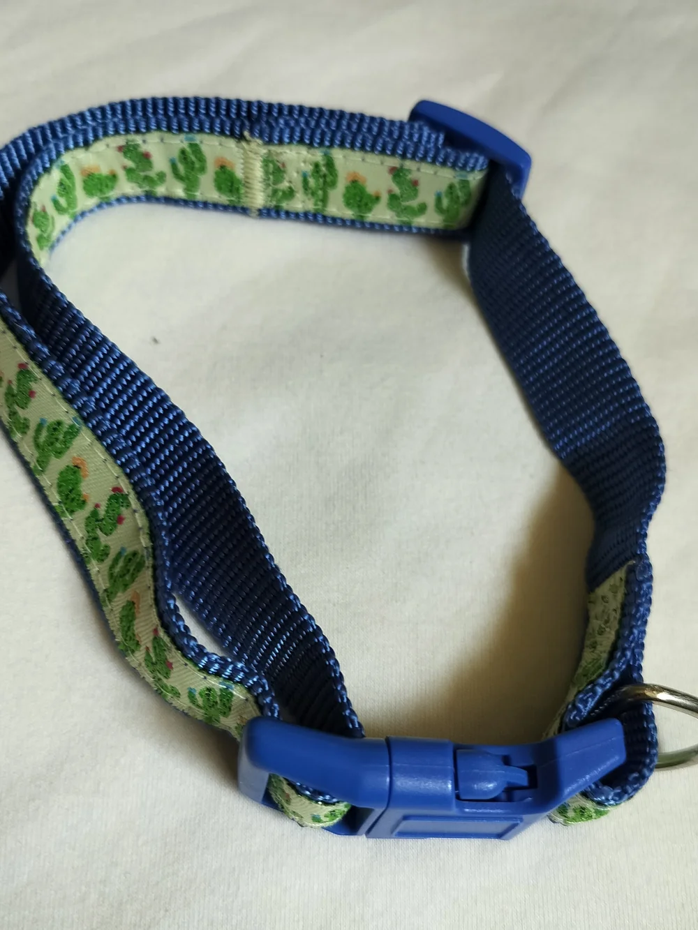 JoJo Blue Cactus Print Dog Collar 1 In Wide, For 16- 22-in Neck, Quick Release